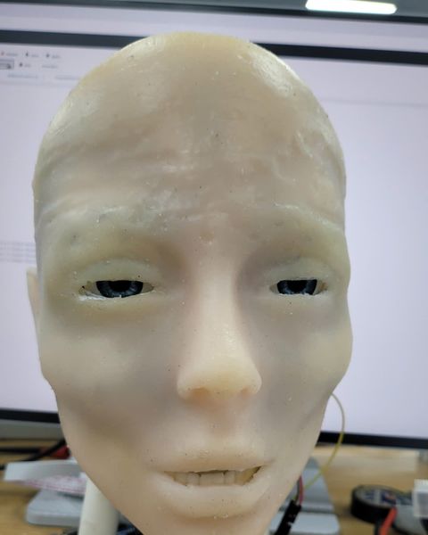 The face with narrowed eyes and the teeth showing.