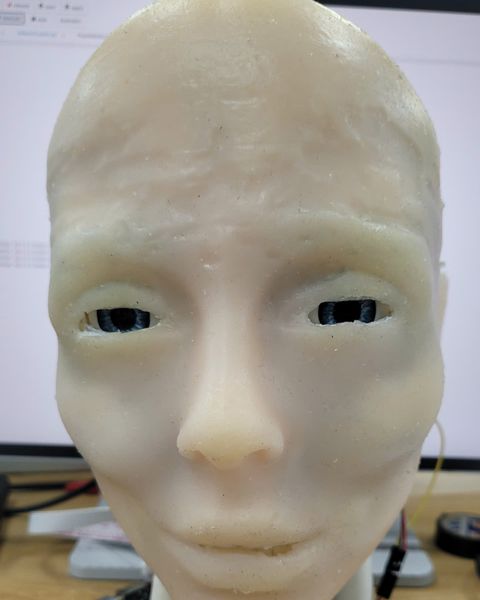 The face with half-closed eyes and a tight mouth.