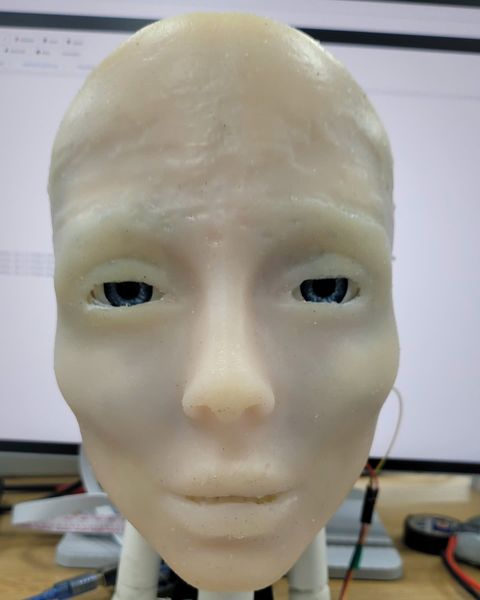 The silicone face at rest.