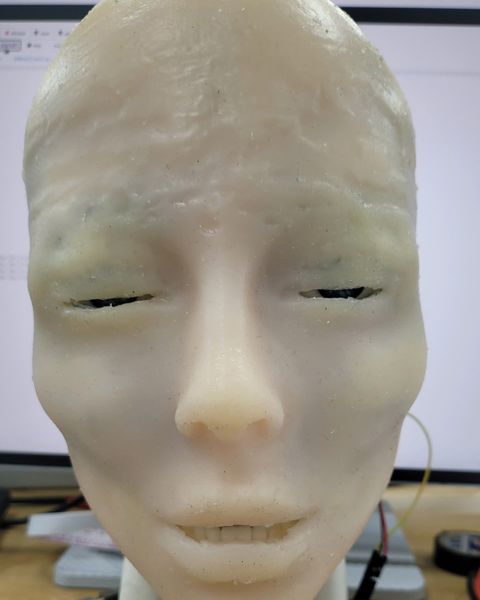 The face with lowered eyelids and a downturned mouth.