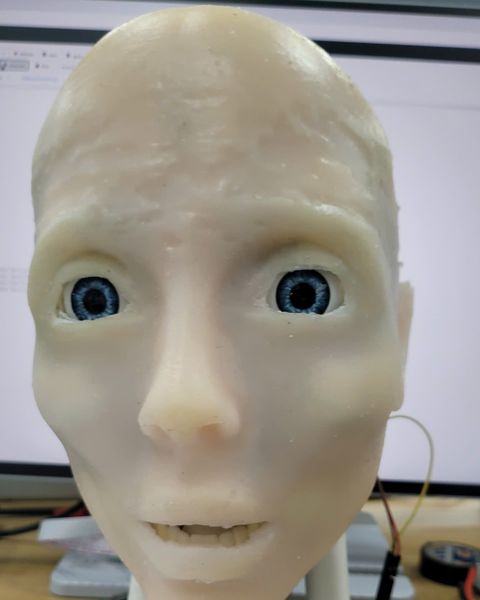The face with eyes wide open and the mouth slightly open.