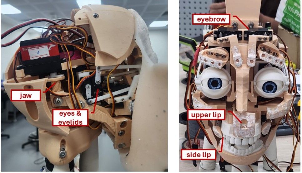 Two views inside the head without its skin, labelled: the jaw, eye and eyelid servos from the side, and from the front the eyeballs with linkages to the eyebrows, upper lip and side lips.