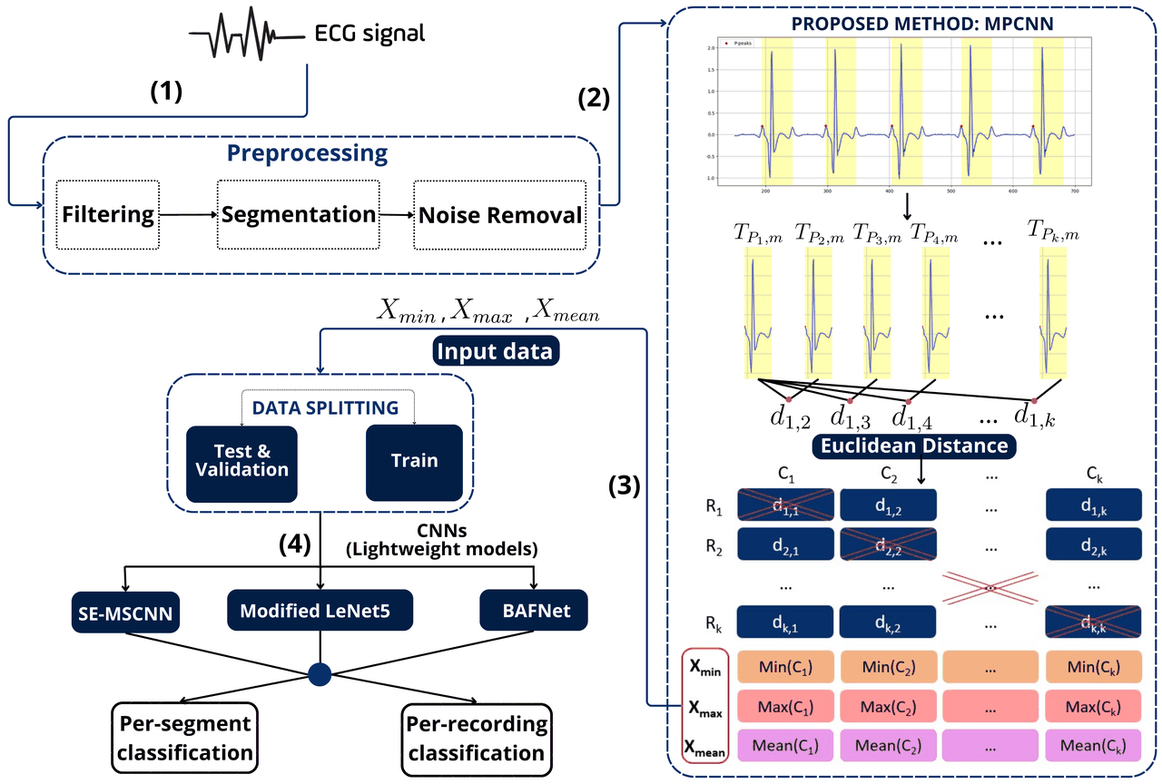 MPCNN overview: the ECG signal is filtered, segmented and denoised; subsequences starting at each P peak are compared by Euclidean distance, and the minimum, maximum and mean of each distance column feed lightweight CNNs (SE-MSCNN, modified LeNet-5, BAFNet) for per-segment and per-recording classification